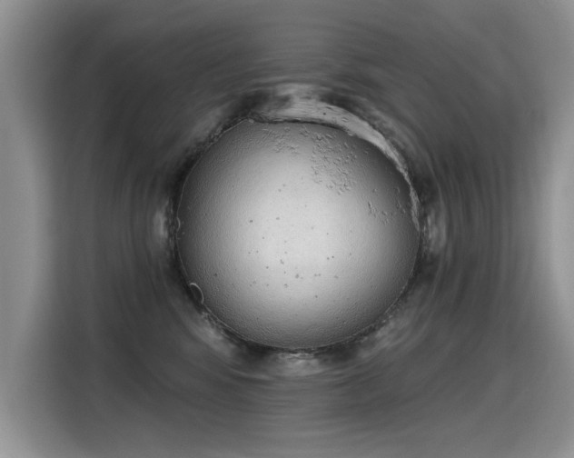 X0000115420424200911101635