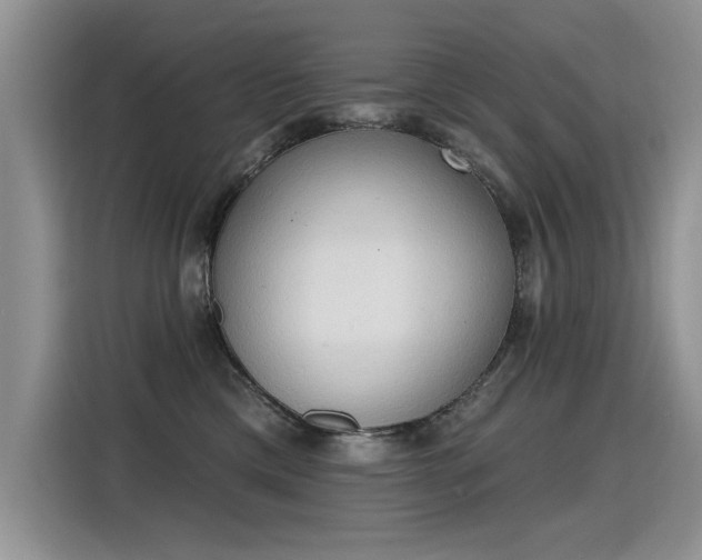 X0000115420425200911101635