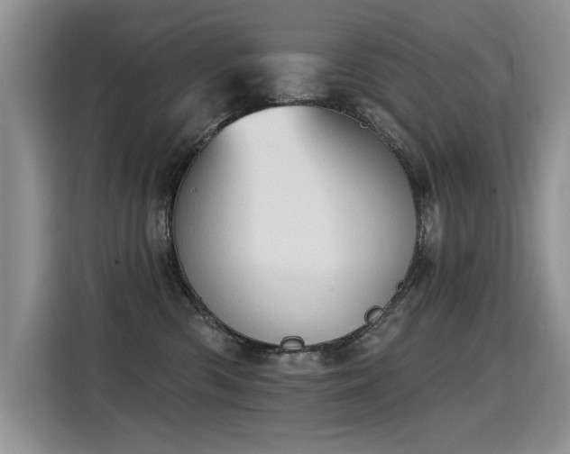 X0000115420426200911101635