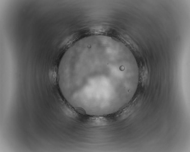 X0000115420427200911101635