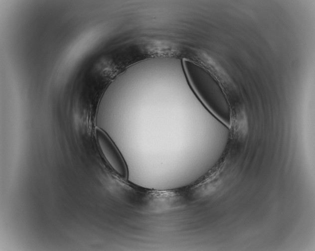 X0000115420429200911101635