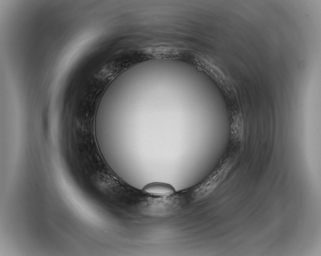 X0000115420430200911101635