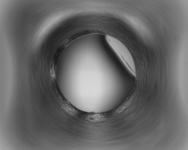X0000115420431200911101635