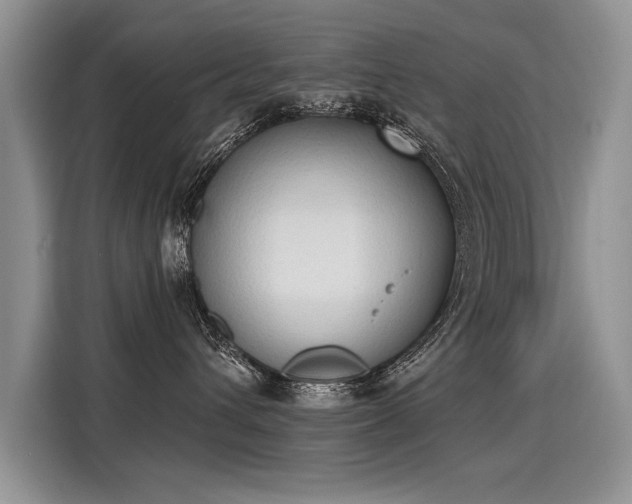 X0000115420432200911101635