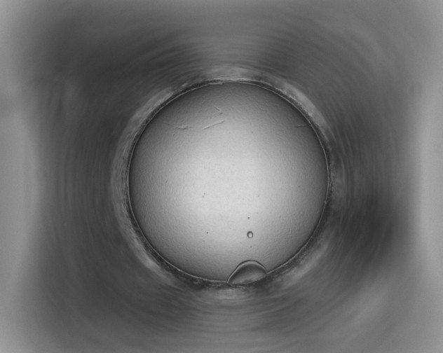 X0000115420433200911101634
