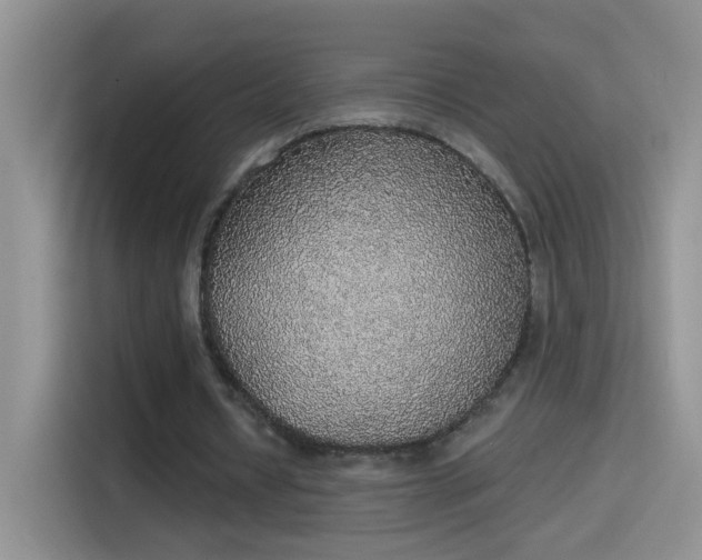 X0000115420434200911101634