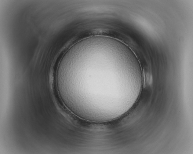 X0000115420435200911101634