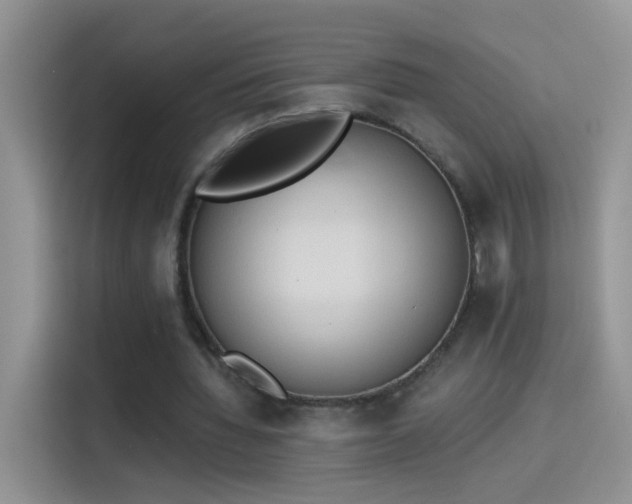 X0000115420436200911101635