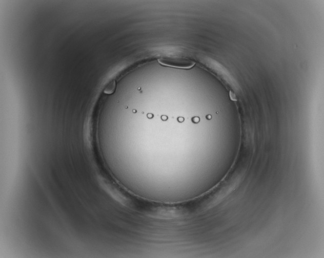 X0000115420439200911101635