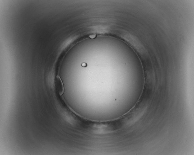 X0000115420440200911101635