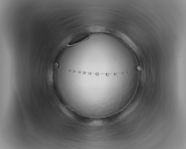 X0000115420441200911101635
