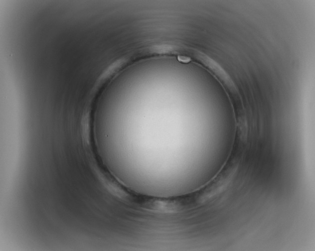 X0000115420442200911101635