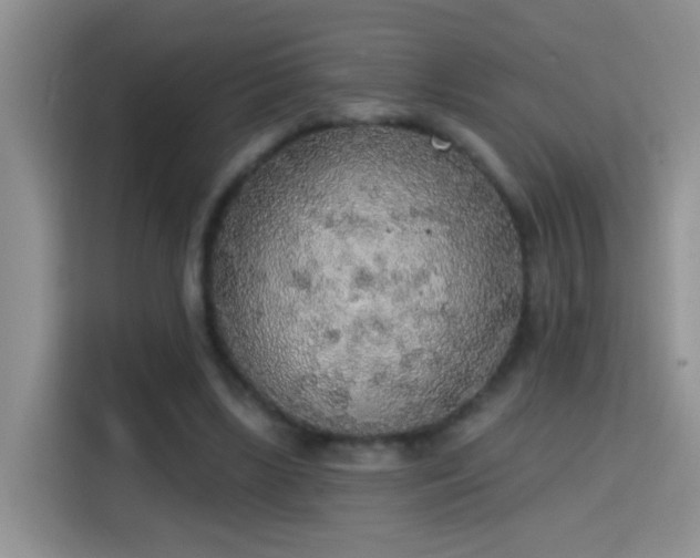X0000115420443200911101635
