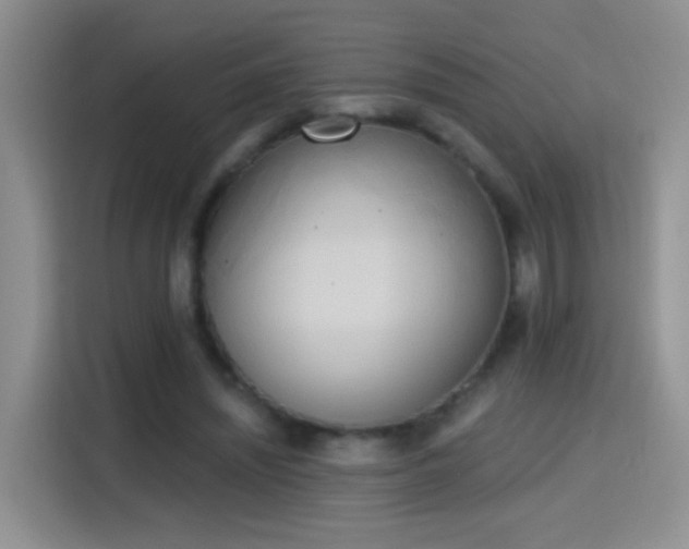 X0000115420444200911101635