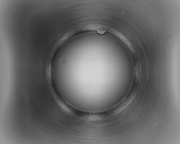 X0000115420445200911101635
