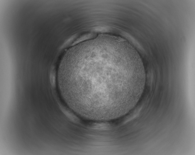 X0000115420446200911101635