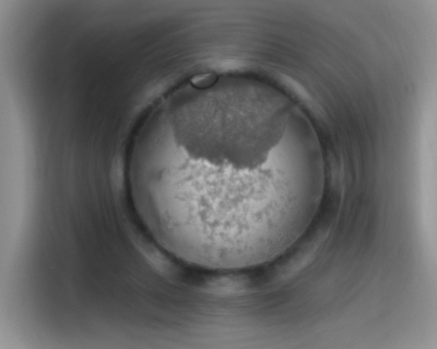 X0000115420447200911101635