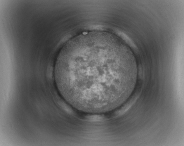 X0000115420449200911101635