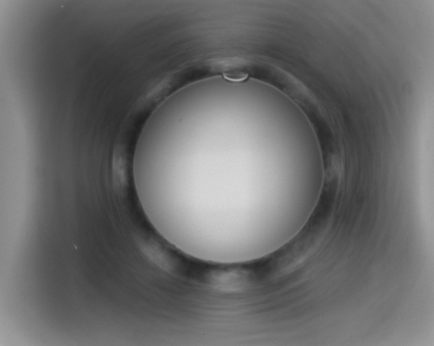 X0000115420452200911101635