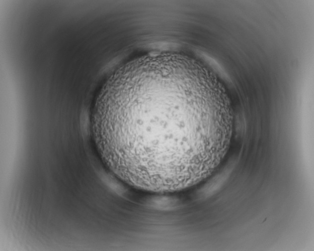 X0000115420453200911101635