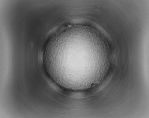 X0000115420454200911101635