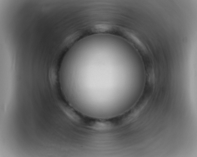X0000115420455200911101635