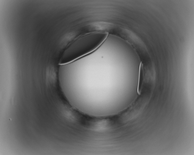 X0000115420456200911101635