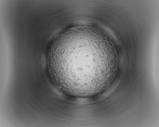 X0000115420457200911101635