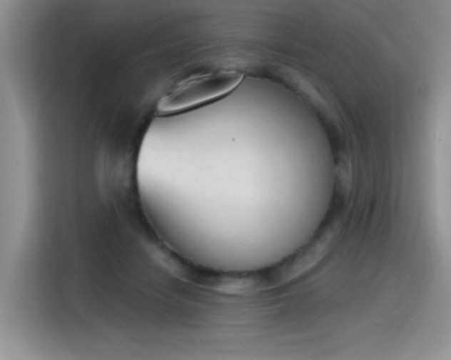 X0000115420458200911101635