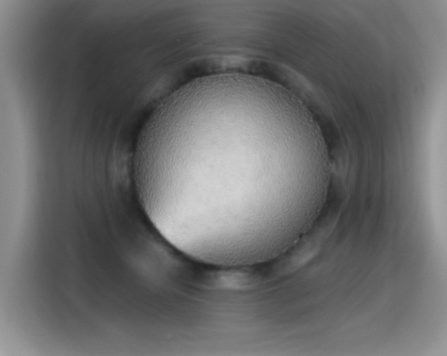 X0000115420462200911101635