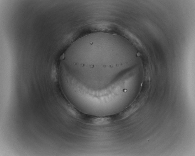 X0000115420465200911101635