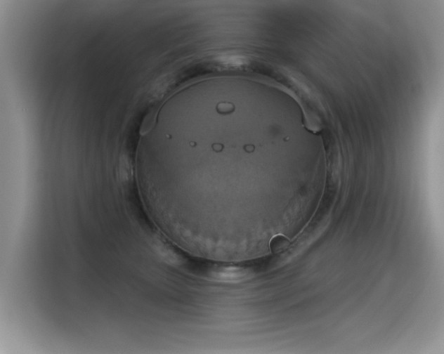 X0000115420467200911101635