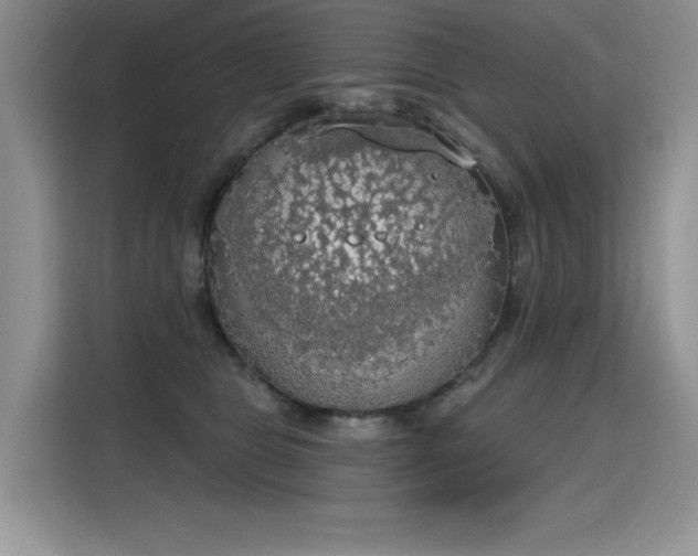 X0000115420469200911101635