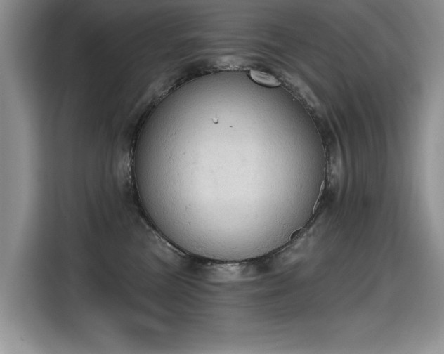 X0000115420473200911101635
