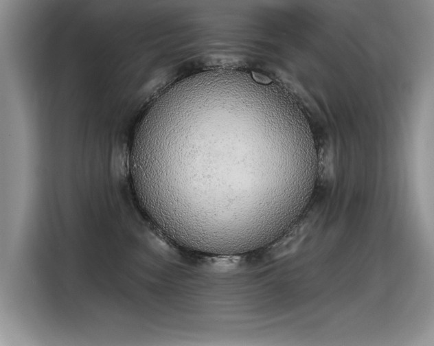 X0000115420474200911101635