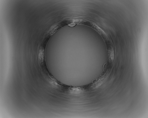 X0000115420475200911101635