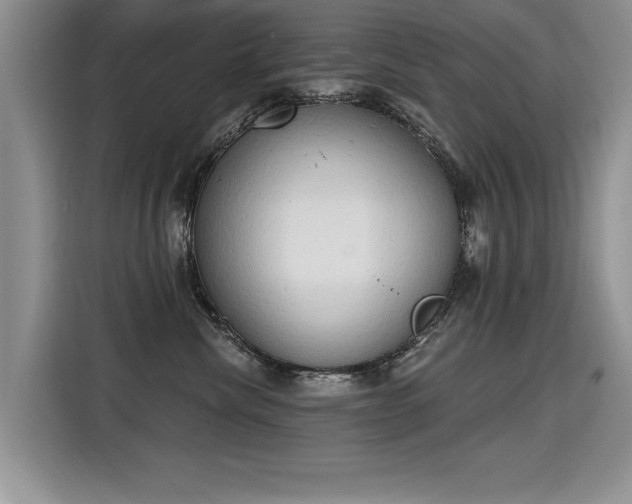X0000115420476200911101635