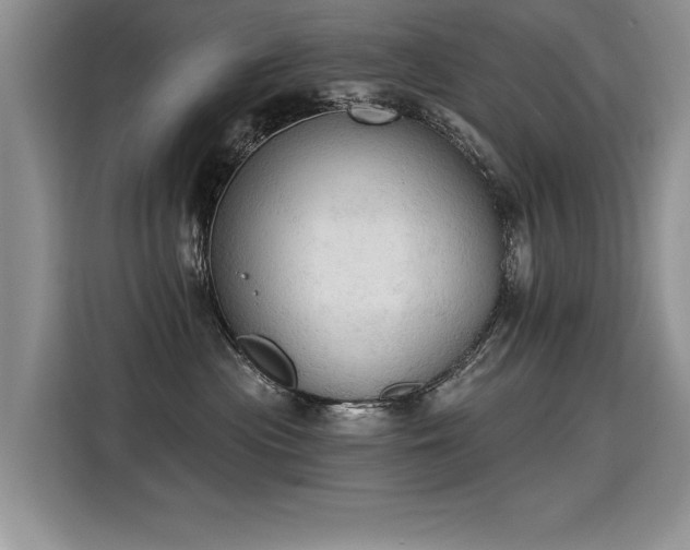 X0000115420477200911101635