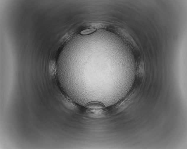X0000115420478200911101635