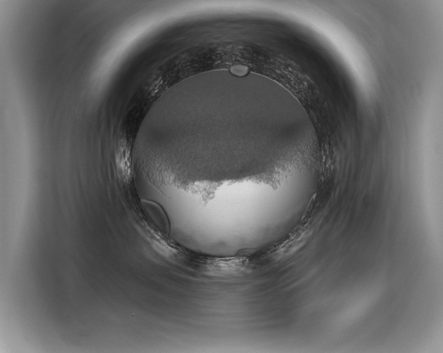 X0000115420479200911101635