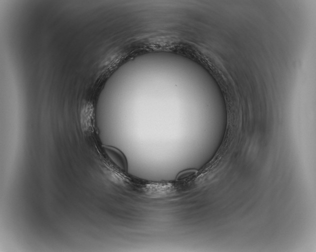 X0000115420480200911101635