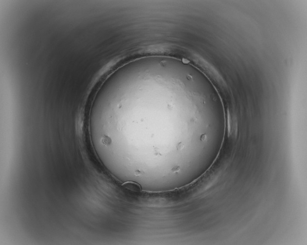 X0000115420483200911101634
