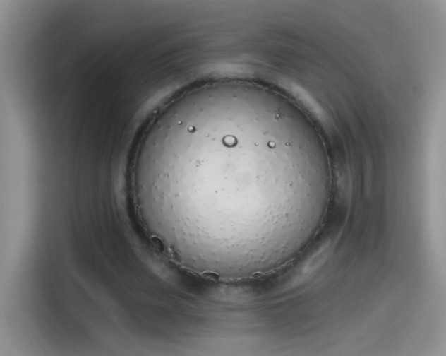X0000115420487200911101634