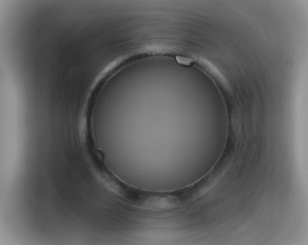 X0000115420488200911101634