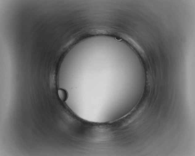 X0000115420489200911101634