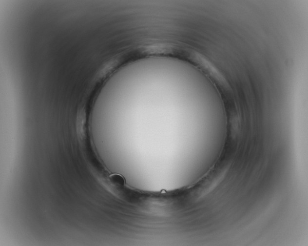 X0000115420490200911101634