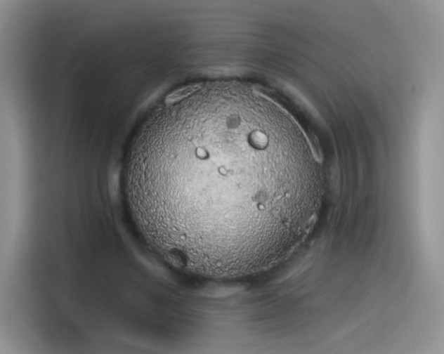 X0000115420491200911101634