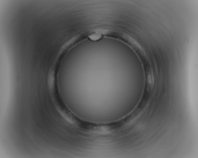 X0000115420492200911101634