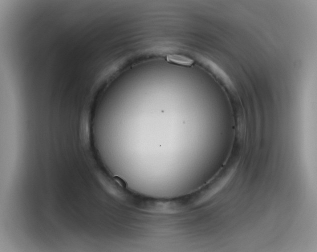 X0000115420493200911101634