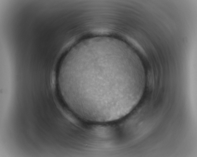 X0000115420494200911101634